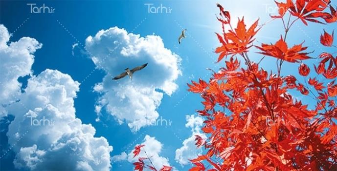 طرح psd آسمان مجازی 3672290
